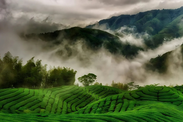 Ooty
